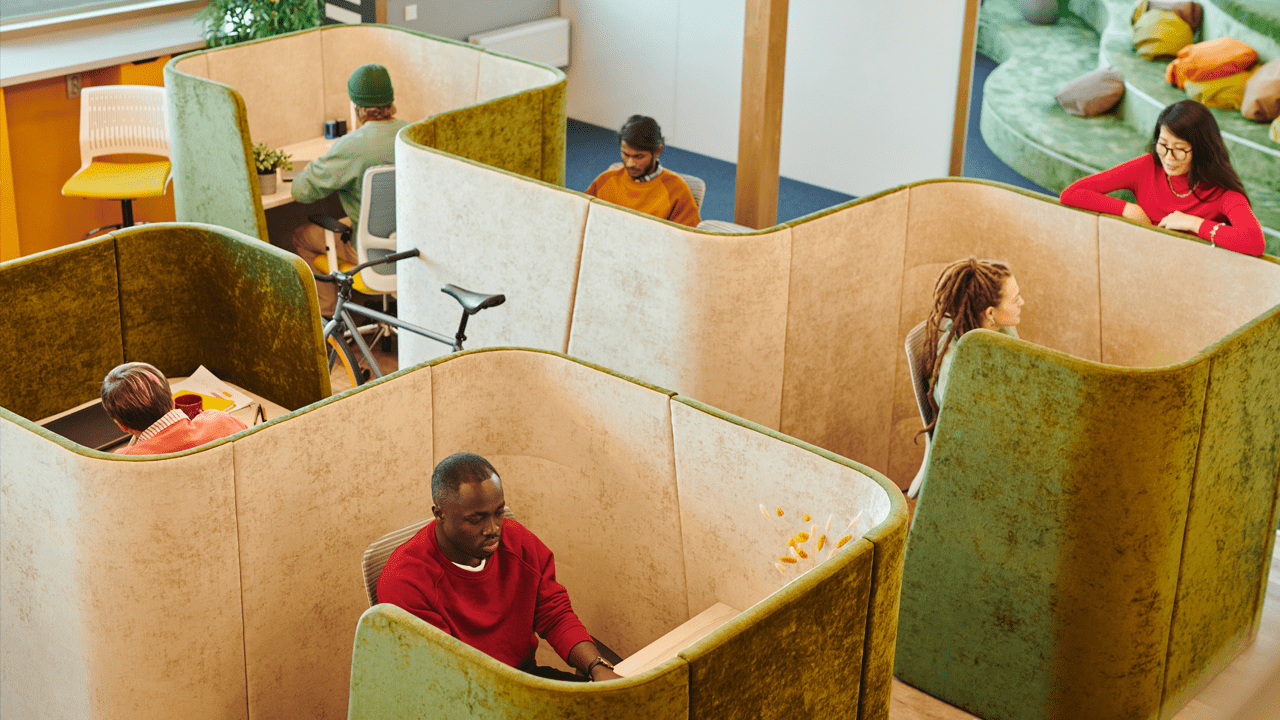 Cultivating a Healthy Working Environment